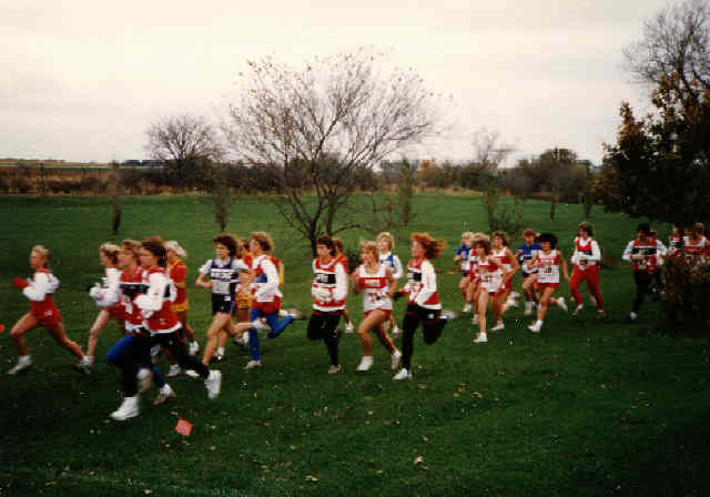 Lansing High School Days - Cross Country Sophomore Year 1986