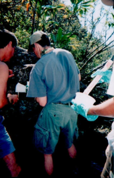 Jim applies epoxy as Justin and others help