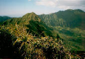 Peak Ka'au Crater