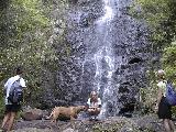 Waterfall2 - Karla, Kris,  Lou and Charlie